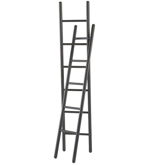 Ligne Roset Passe-Passe Coat Rack