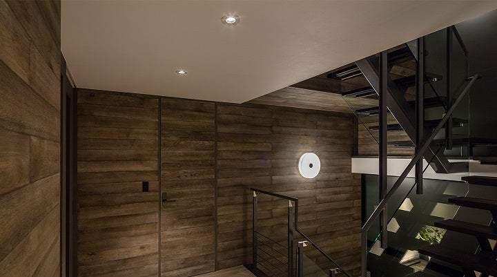 Button FL Ceiling/Wall Light by Flos