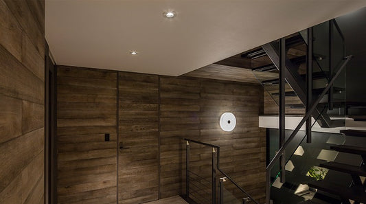 Button FL Ceiling/Wall Light by Flos